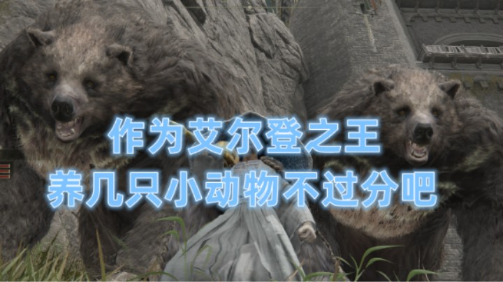 【艾尔登法环】作为艾尔登之王，养几只小动物不过分吧