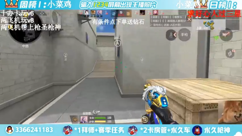 【2022-04-04 23点场】一哲丶：进来的是帅哥一起上分赶快来