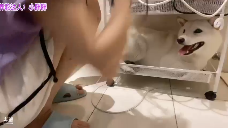 【2022-04-07 10点场】骆歆冲冲冲：骆歆：吃饭！你说吃啥