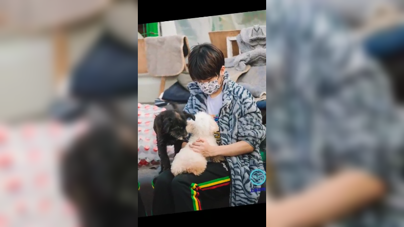 让我们一起关爱这些小动物们