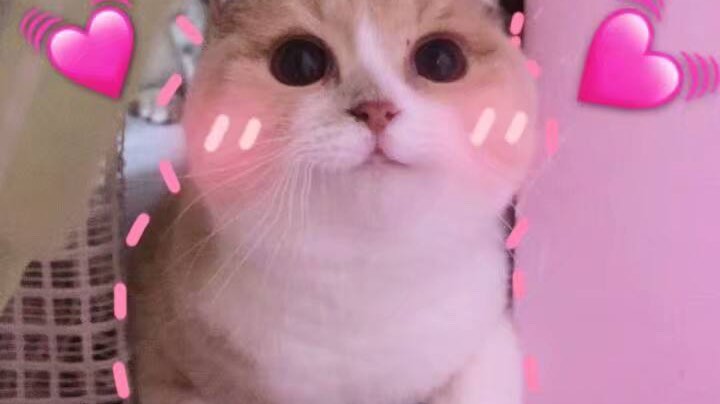 4.7