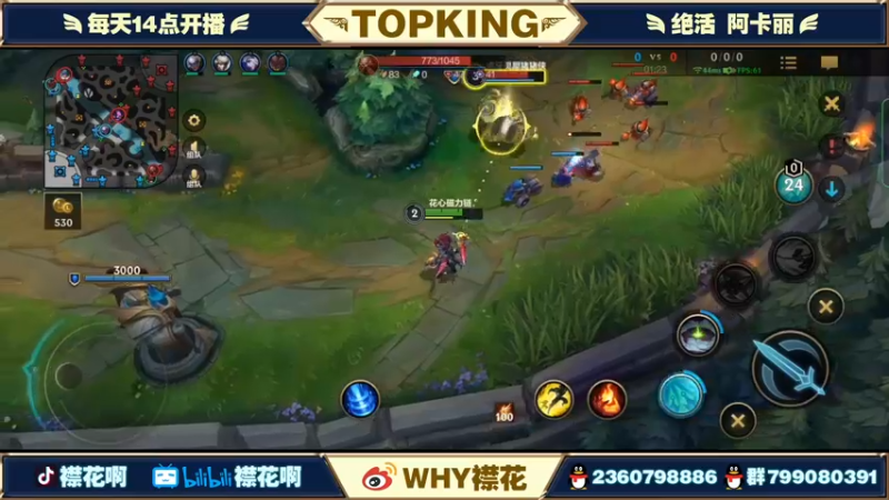 【2022-04-07 16点场】襟花啊：国一阿卡丽王者局细节操作