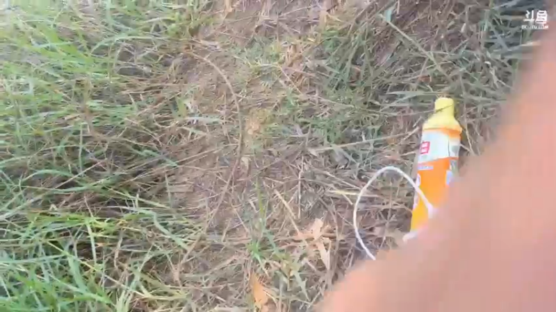 【2022-04-09 16点场】主播阿郎：海南环岛游31