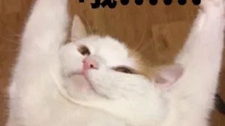 直播day2