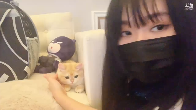 骗猫