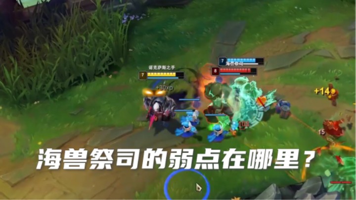 海兽祭祀有哪些弱点？