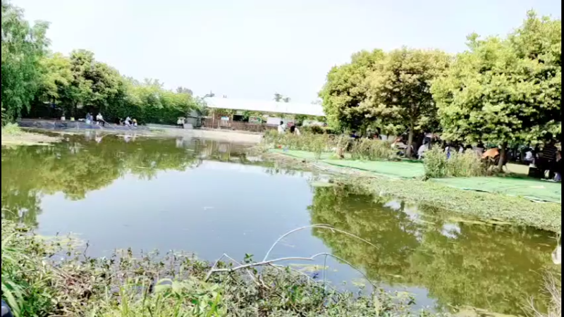 【2022-04-10 14点场】哈尼九：户外，美釹，春天，跳舞