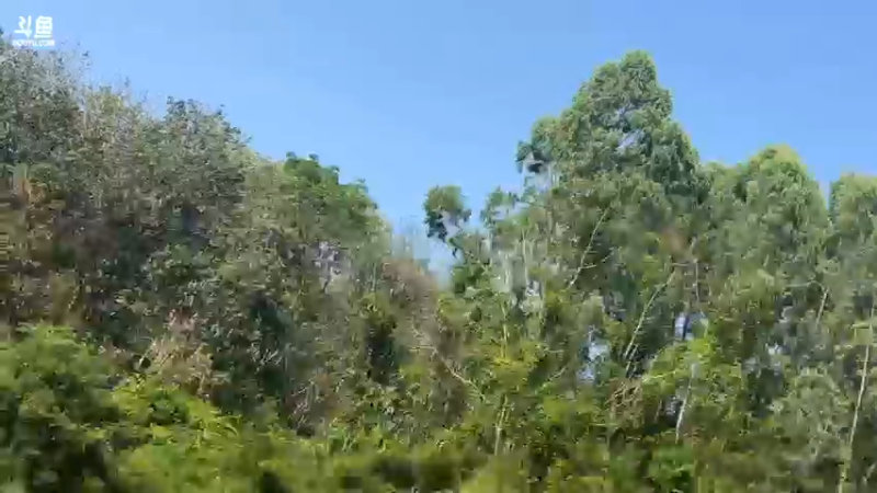 【2022-04-10 15点场】主播阿郎：海南环岛游32