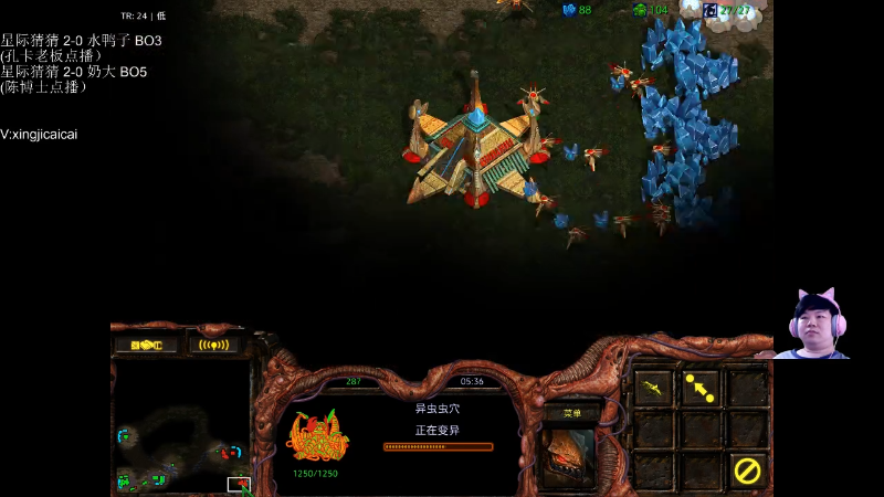 【星际争霸】星际猜猜的精彩时刻 20220410 01点场