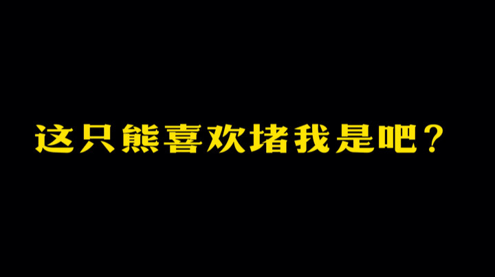 我与这熊不共戴天！不对，还有下面的狼群！