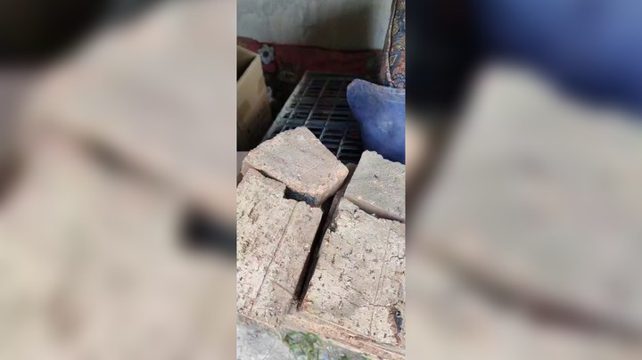 碰瓷我的母猫生了一窝小猫，养了一个月被人抱走了，手机里存的唯一且不清晰的影像