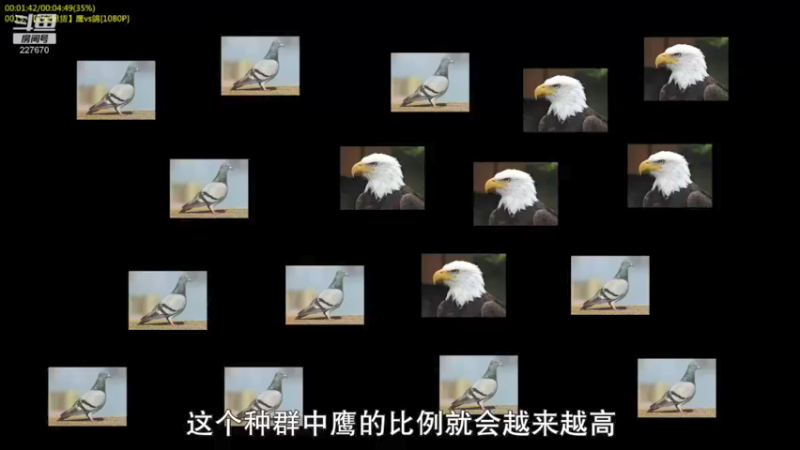 【2022-04-11 05点场】军武直播：战斗民族如何突击绑匪？人质都懵逼了