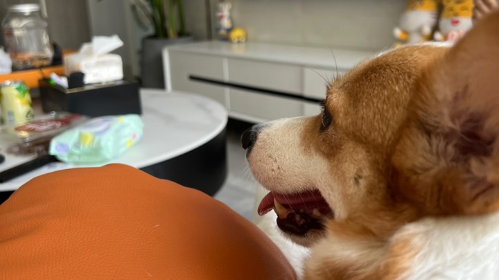 起飞