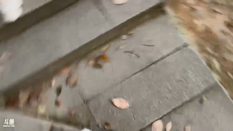 【2022-04-10 17点场】章随便先生：畸胎三十怪开局