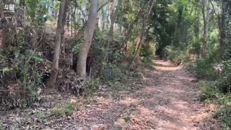 【2022-04-11 13点场】主播阿郎：海南环岛游33