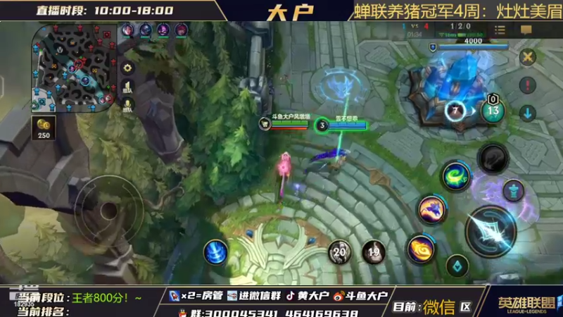 【2022-04-05 10点场】大户呀：斗鱼大户喵敦敦！猫咪YYDS