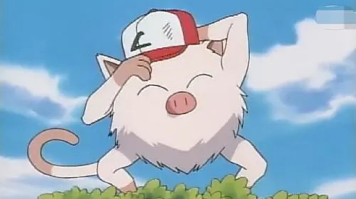 不算精彩的集锦