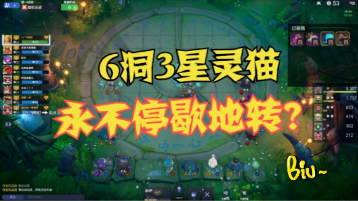 6洞洞3星灵猫，永不停歇地转？