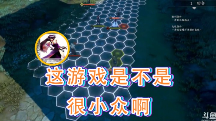 【荣耀洋洋】：这游戏是不是很小众啊