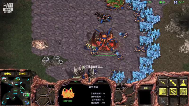 【2022-04-11 22点场】wAngfuGu1：人族应把  神族太难了