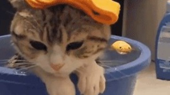 佛系