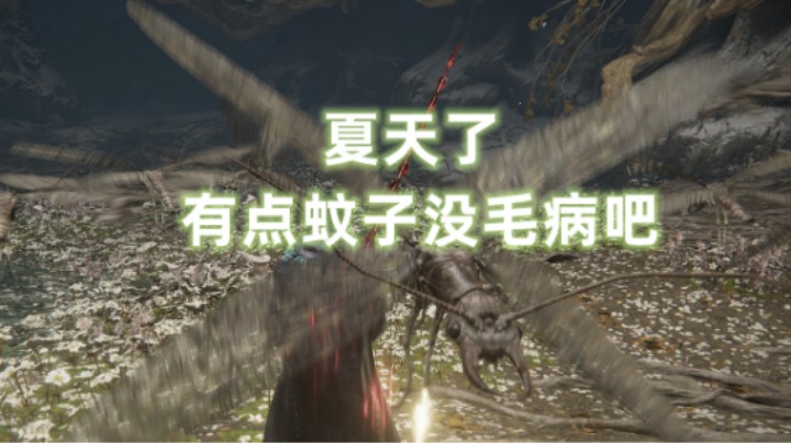 夏天了 有点蚊子没毛病吧【艾尔登法环】