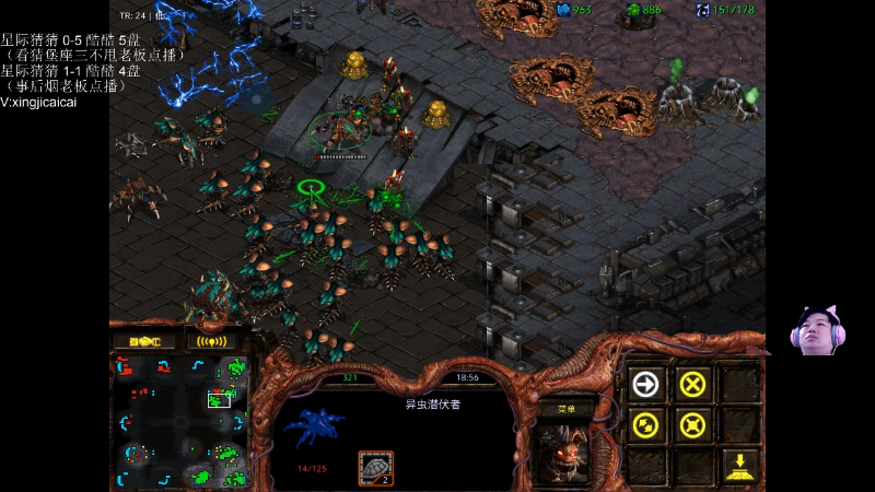 【星际争霸】星际猜猜的精彩时刻 20220412 03点场