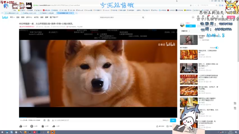 【2022-04-11 20点场】宝贝鱼O3O：【鱼宝】开通钻粉送精美小饰品哦(♡⌂♡)