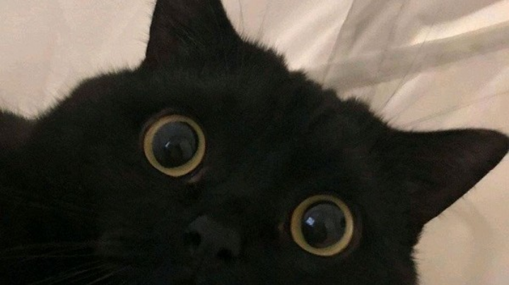 不知道多少次录屏