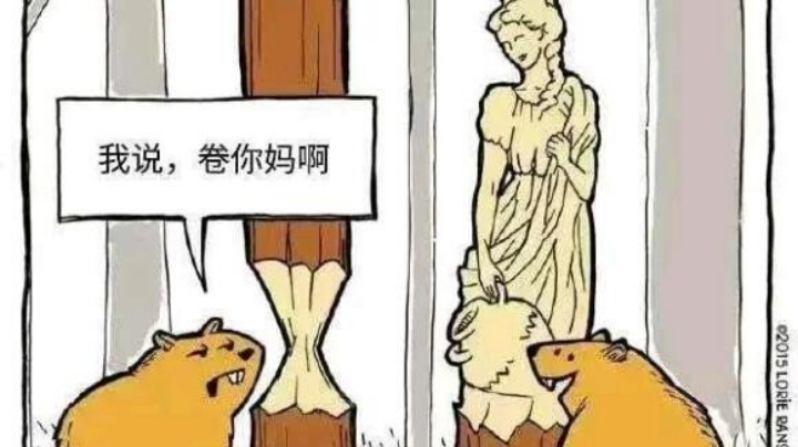 一个单排ad