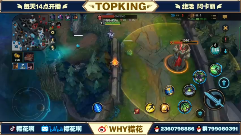 【2022-04-12 20点场】襟花啊：国一阿卡丽王者局被杀鸡