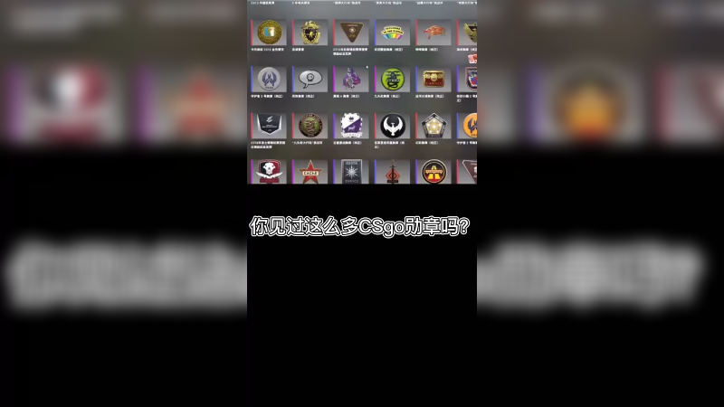 【csgo勋章】你见过这么多勋章吗？