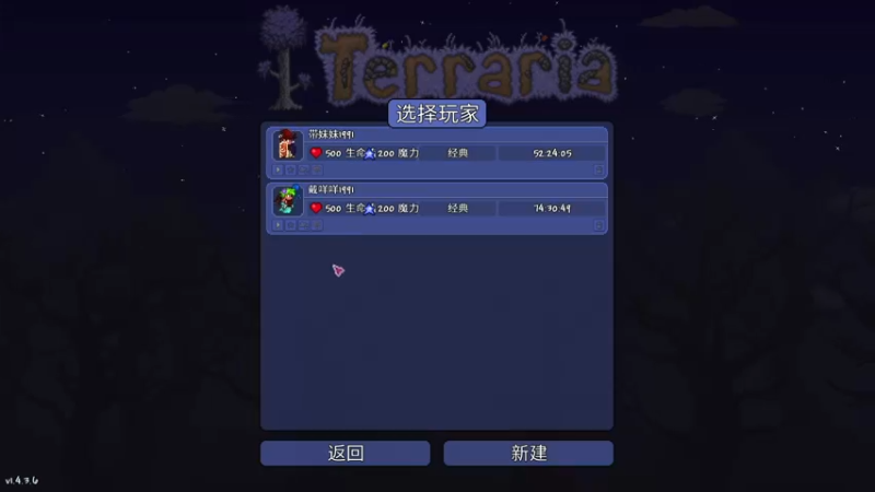 大师泰拉瑞亚！-074