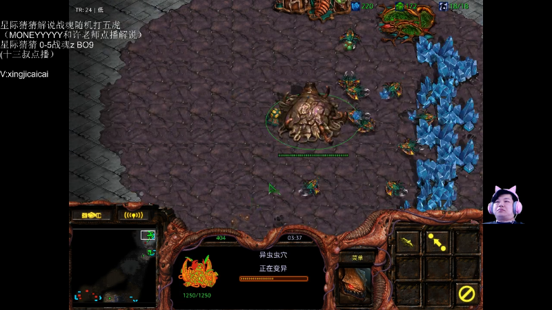 【星际争霸】星际猜猜的精彩时刻 20220414 00点场