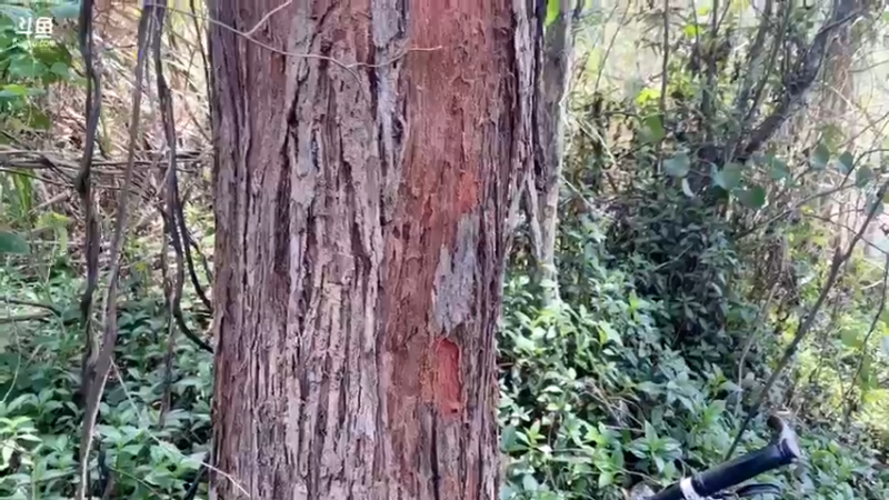 【2022-04-14 11点场】主播阿郎：海南环岛游34