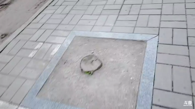 【2022-04-14 06点场】郑伟丶：你滴伟王 无限猖狂