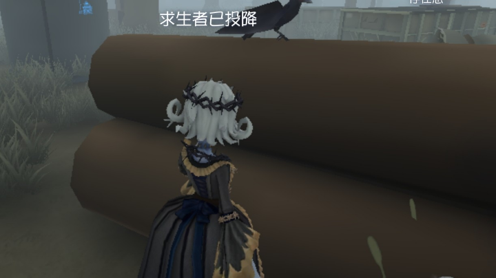 好耶