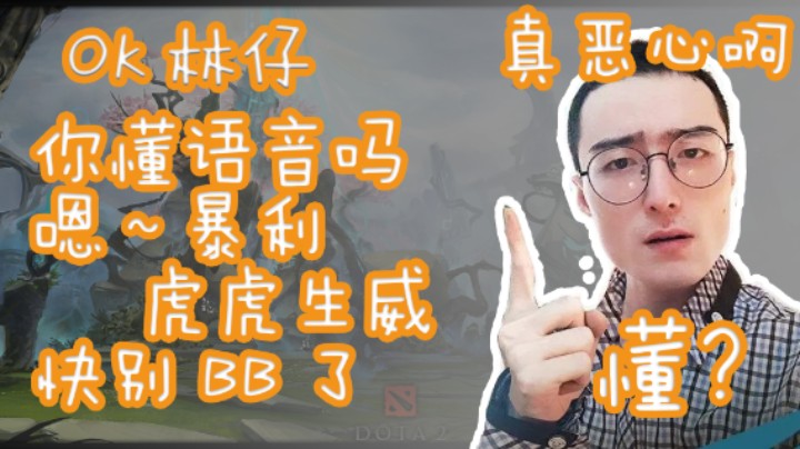 OK林仔 你懂语音包吗？