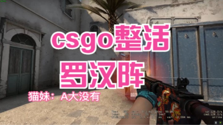 csgo整活，CT都哭了