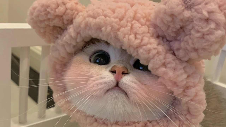 随便玩玩