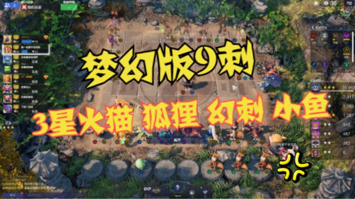 3家两星火猫开局！3星火猫梦幻版9刺