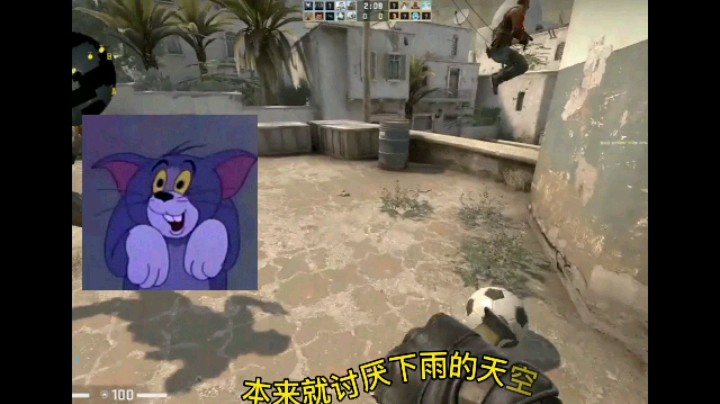 【CS Go 是村南啊】以后再也不唱了