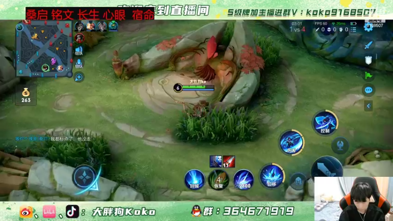【2022-04-15 17点场】大胖狗koko：斗鱼第一辅 新版本桑启 瑶 保姆级教学
