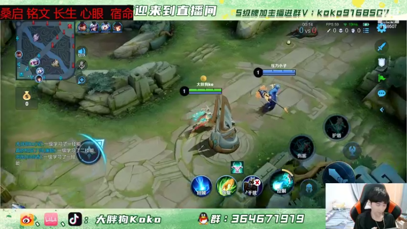 【2022-04-14 23点场】大胖狗koko：斗鱼第一辅 新版本桑启 瑶 保姆级教学