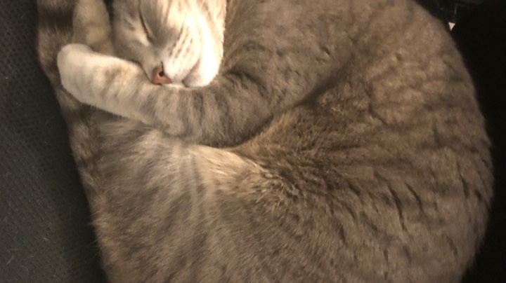 打打