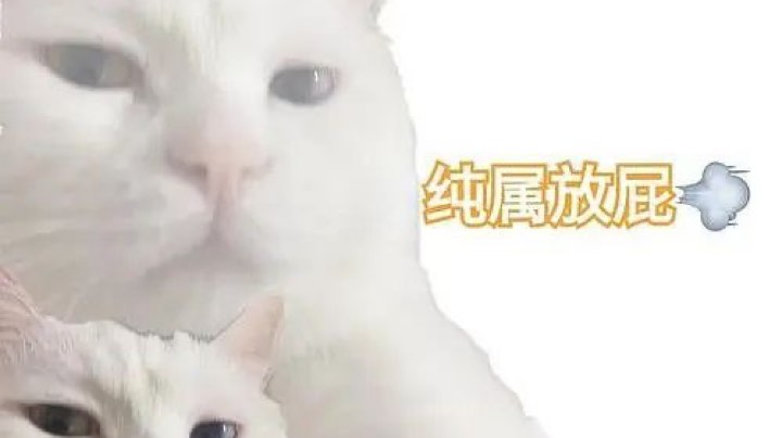 双马尾mao
