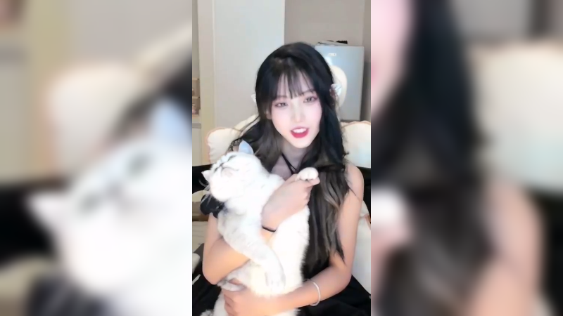介绍下我家的成员