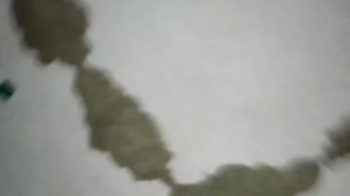 Yue月崽发布了一个斗鱼视频2022-04-15