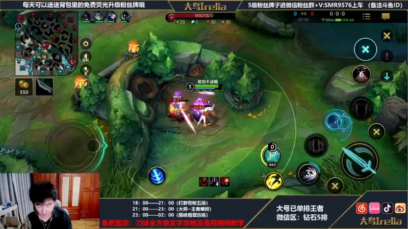 【2022-04-14 20点场】大鸟Irelia：最强刀妹：中单王者单排
