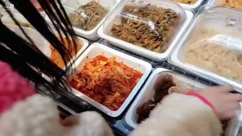 【2022-04-15 16点场】川味箩卜：狗抓猪啦！！！